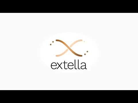 Getting Started with Extella – Rules, Experts & Concepts