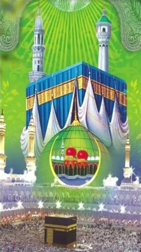 22 November 2025№##cvvx