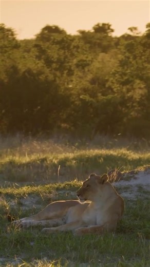 Visit Zimbabwe 🇿🇼 | Discover Zimbabwe