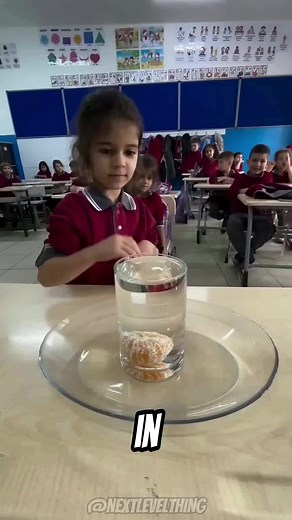 The Orange Challenge: Exploring Physics in Action