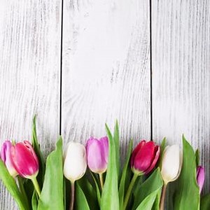 Ready to elevate your spring meals? Get ready for a season bursting with flavor and savings at our store! From sizzling grills to vibrant salads, we've got everything you need to make your spring culinary dreams a reality. 綾✨ Ready to shop? Visit our store or check out our weekly ad for all the tasty details! ✨ https://bit.ly/4biVEMA #SpringIntoFreshness #FlavorfulFeasts #SpringSavings | Hornbacher's | Facebook