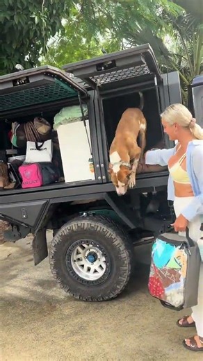 My Dog's First Trip Ever 🐶🌍 #dogs #doglover #mydog #doglife #petlover #cutedog #dogs #pupppy