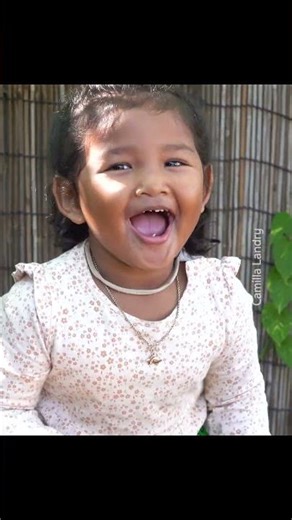 The Ultimate Crunch Gourmet Fried Insect Recipes for the Adventurous Cook