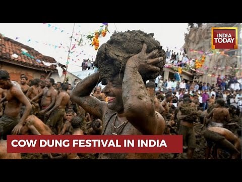 Karnataka Village Spars With Cow Dung To Mark End Of Diwali | Gorehabba Festival 2022