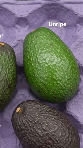 3 Avocados 🥑