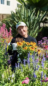 255 reactions · 37 shares | Kat takes us on a tour of her pollinator garden It’s so inspiring to see how she transformed her front lawn into a beautiful pollinator paradise | Green Acres Nursery & Supply | Facebook