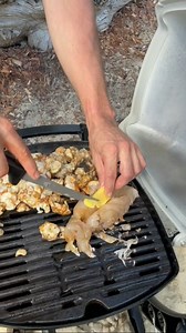 4.7K views · 46 reactions | How To Prepare & Cook Crayfish The Adreno Brisbane team made the most of the last couple of days with a quick trip over to Moreton for some product testing and managed to land a couple of crays along the way. @taylorsagirlzname talks us through how to prepare fresh crays, ready for the BBQ. | Adreno Spearfishing | Facebook