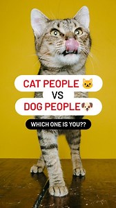 🚨Who is best? - decoded here!! . 🐾 Cat People vs. Dog People: The Battle of Independence! 🐶🆚🐱 . . Get ready to dive into the most PAWSitively hilarious showdown! From personal space champs to me-time masters, cat people have got it all. . Swipe for some playful pet rivalry that'll leave you giggling! 😸🤣 #CatPeopleRule #PetShowdown #FelineFinesse . . . . Follow for more - @ask_my_cats Dm for credit - 🎥 . #catvsdog #catpeople #dogpeople #bviral #petsofinstagram #petsofinsta #instacat #catl