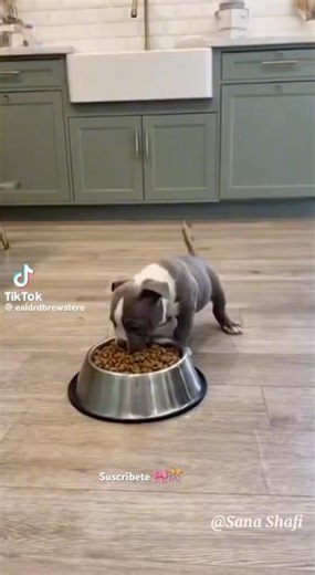 OPORTUNO GOLPE DE CABEZA