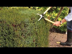 How to use: Hedge and Bush Shaping Shears (Long handles) by Japeto