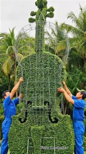 Luxury Tropical Garden Violin Comes Alive in Daylight