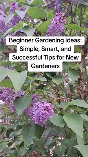 Beginner Gardening Ideas: Simple, Smart, and Successful Tips for New Gardeners #gardening #planting