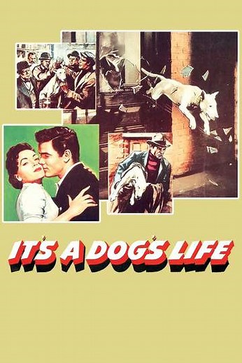 It's a Dog's Life (1955) - Movie