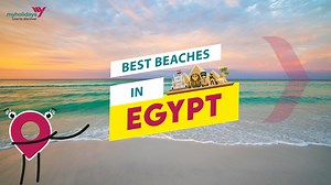 20 reactions | Astonishing white sand plus alluring reefs plus water...