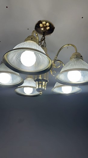 Ladybugs and Asian beetles are in full swing here in Birmingham! Give me a shout if you’re seeing them take over your windows or ceilings. (205) 910-7728 Quest Pest Control #pestcontrol #birmingham #trussvillealabama #questpestcontrol | Quest Pest Control