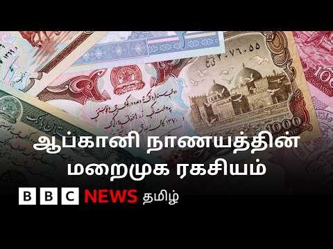 நாணயத்தை வலுவடையச் செய்ய தாலிபன் அரசு செய்யும் உத்தி - உண்மை நிலவரம் இதுதானா?