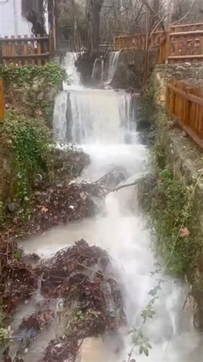Hora Jaén on Instagram: "💧🌿 Así se encuentra el paraje de Hutar Las lluvias de los últimos días han transformado el Paraje de Hutar, en Albanchez de Mágina: el agua mana con fuerza, brota en cantidad y recorre el entorno con una imagen espectacular . Un espectáculo natural que muestra la abundancia de agua tras el temporal, pero que invita también a la precaución en caminos y senderos. #Jaén #AlbanchezDeMágina #Hutar #Lluvias #Naturaleza Agua Temporal"