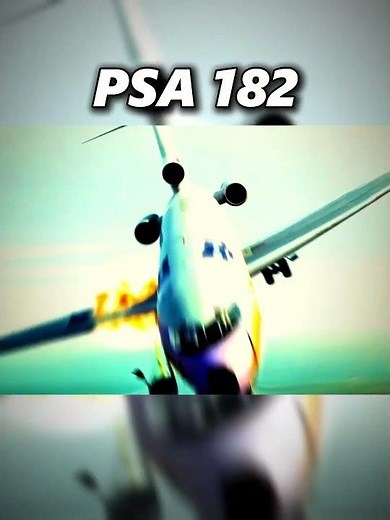 Midair Plane Crashes That Happened Twice...