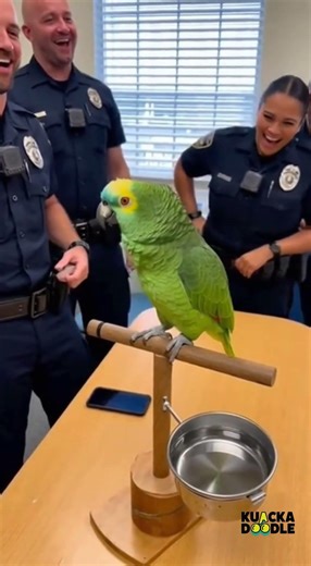 Parrot Told Cops to Check eBay for a Life