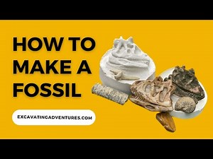 How To Make A Fossil