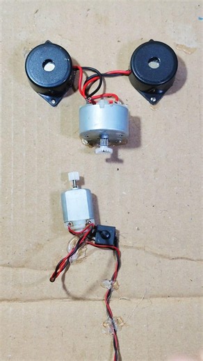 What Happens When You Use a Double Buzzer#dcmotor #sorts