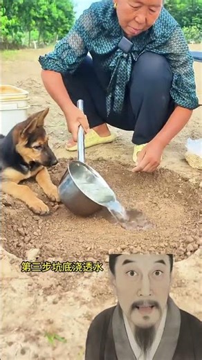 Learn to sprout beans and you can do it at home by yourself#Bean sprouts#Vegetables#Agricu