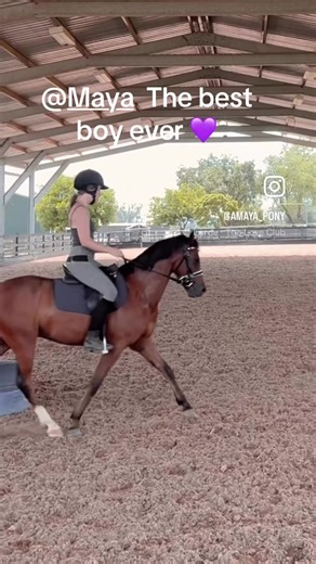 Our baby in training, doing so well with Maya, forever greatful for this little duo 💜