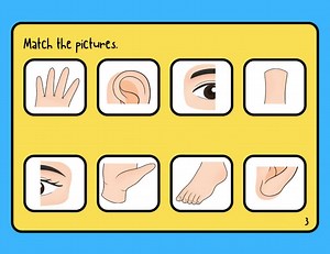 Human Body Activity Book: Preschool Learning Worksheets (printable PDF) - Etsy