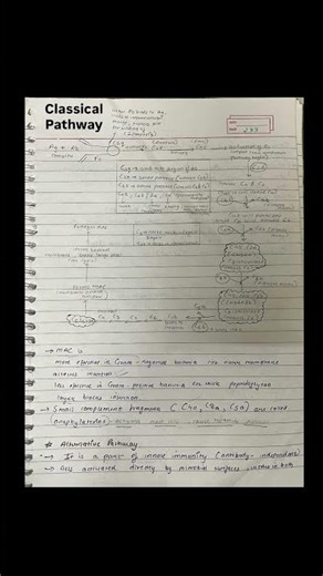 Classical vs. Alternative vs. Lectin: The Complement System made easy! 🧬 #Immunology #microbiology