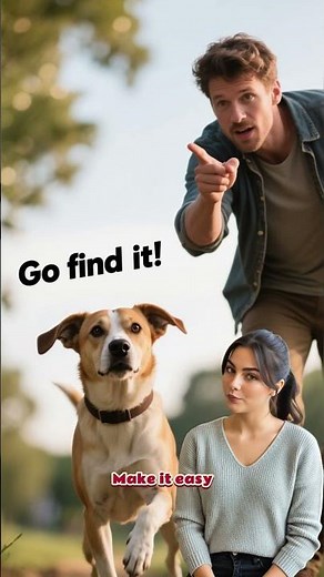 Incredible Sniffer in Action: Train your Dog to Find their Treat