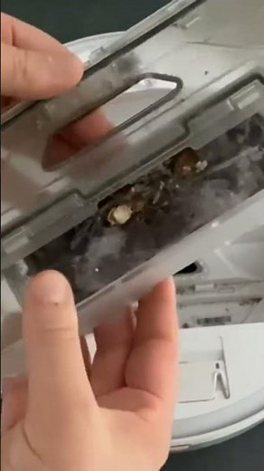 Reinigung des Saugroboter Wischroboter Roborock S5 MAX