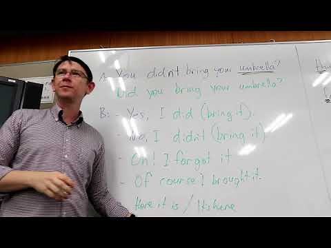 How to answer Negative Questions