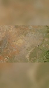 Warthog Wonders: Exploring the iMfolozi Game Reserve | Real Wild