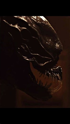 Stop it! Croak, stop it! | Xeno 2025