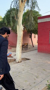 Bhai Saqib khan Chadhar MPA (Parliamentary Secretary Skills Development And Entrepreneur Department) | Ch Mohsin Chadhar