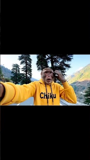 Monkey doing Vlogging REALLY!! 🤯 #shorts #vlog