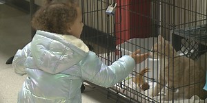 Municipal pantry provides pet food for families who can’t afford it