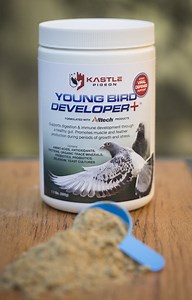 Young Bird Developer Plus muscle and immunity builder with viral defense support for pigeons