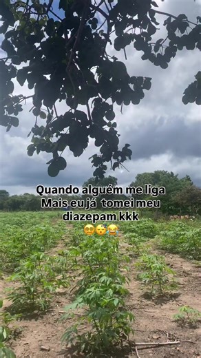 Os vídeos de m m m santos 🌸🌸🌸😍😍😍 (@mdmmsantos) com som original - m m m santos 🌸🌸🌸😍😍😍