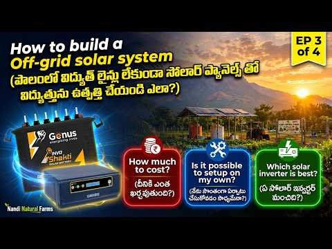 How to setup Off-grid solar system | 12V and 24V System | Total Cost #offgridsolarsystem #solar