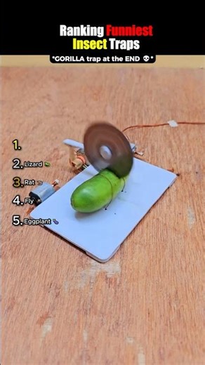 Ranking Funniest Insect Traps! pt. 2 😭