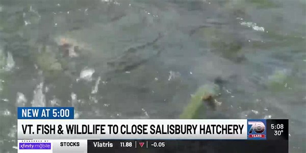 Vermont to close Salisbury fish hatchery