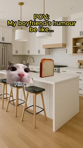 My boyfriend's humour be like. #gf #bf #relationship #relatable #cat #cats #meme | PetMeme Lab