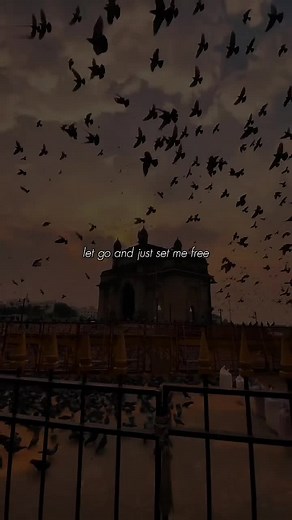 Set Me Free Lyrics: Meaning and Analysis