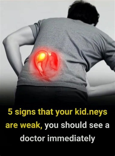 Abnormal changes in the body that indicate kid.ney weakness: Don’t ignore them 😰 | Feedy Animals