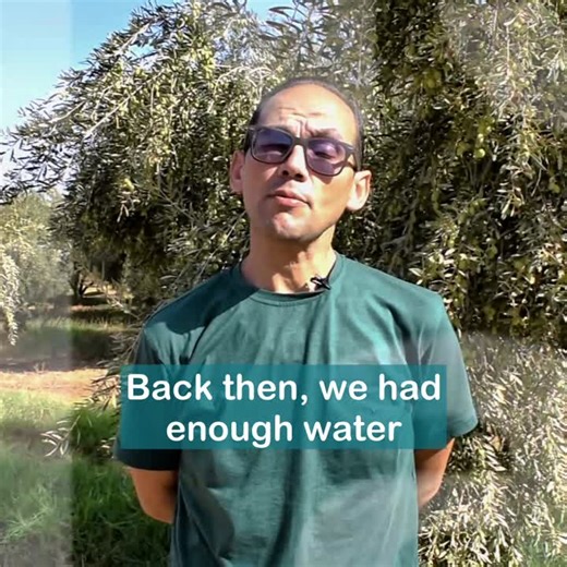 #wefe #nexus | NexusLabs