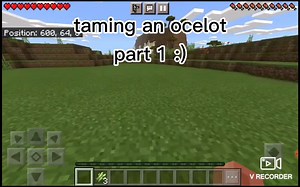 Minecraft Ocelot Taming Guide - Part 1