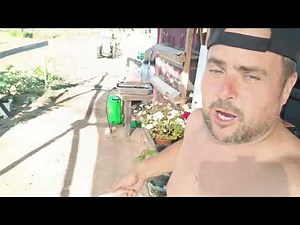 comienza el día, vamos a hacer cositas