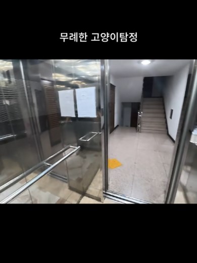 무례한 고양이탐정 마지막화 — 고양이 구조와 문 잠금 방법