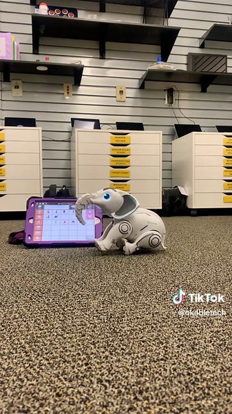 Meet the Mostop Programmable Elephant! This assistive technology device can be controlled via a remote or voice commands. The elephant will respond to “Say hello,” “sit down,” “Sing a song,” and four other voice commands. We used it with an augmentive and alternative communication app. Sometimes, AAC devices can be intimidating! Pairing them with play can help introduce an AAC device in a fun way! Individuals with fine motor difficulties who have trouble with small remote buttons can use their v